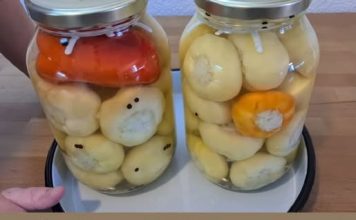 Kisele paprike punjene kupusom, bez konzervansa: Spremaju se za manje od 30 minuta