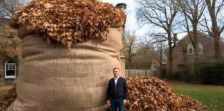 NIKAD ne bacaj jesensko lišće! Vrijedi više od zlata…