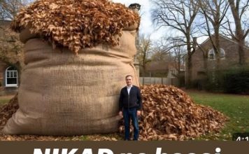 NIKAD ne bacaj jesensko lišće! Vrijedi više od zlata…
