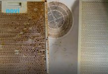 Dovoljno je samo nekoliko kapi: Otopit će svu staru prašinu i masnoću sa nape