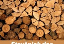 Stručnjak dao odgovor: Ovo drvo za ogrijev gori najduže