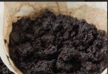 KAD čujete čemu služi talog od kafe, čuvat ćete ga kao zlato: 2 su jaka razloga!