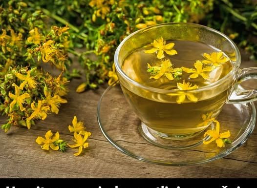 Uzmite samo jedan gutljaj ovog čaja i osetićete kako se vaše telo opušta, a um zaboravlja na sve probleme, brige i stres