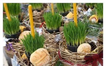 Ako se božićna pšenica POSADI NA OVAJ DAN, kuća će biti blagoslovena cijele godine