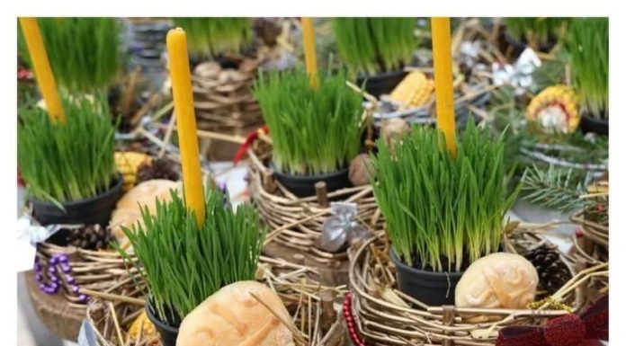 Ako se božićna pšenica POSADI NA OVAJ DAN, kuća će biti blagoslovena cijele godine