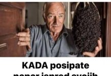 Pospite papar ispred svojih vrata, EVO ZAŠTO biti ćete mi zauvijek zahvalni!