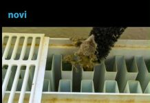 Trik da vam radijatori bolje griju i da smanjite račune za struju: Evo šta trebate uraditi