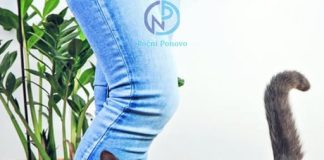 Malo ko zna: evo šta vam pokušava reći mačka kada se trlja uz vaše noge