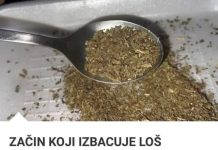 ZAČIN KOJI IZBACUJE LOŠ HOLESTEROL IZ ARTERIJA: Otčepljuje krvne sudove,sprečava infarkt i šlog!