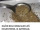 ZAČIN KOJI IZBACUJE LOŠ HOLESTEROL IZ ARTERIJA: Otčepljuje krvne sudove,sprečava infarkt i šlog!