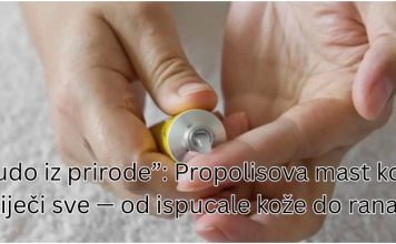 Čudo iz prirode”: Propolisova mast koja liječi sve — od ispucale kože do rane!