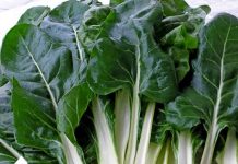 STABILIZUJE NIVO ŠEĆERA U KRVI, ČUVA SRCE I ZDRAVLJE KOSTIJU