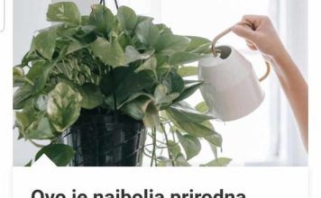 Ovo Je Najbolja Prirodna Prihrana Za Sobno Cveće: Bujaće Kao Ludo, A Da Niste Potrošili Ni Dinara