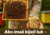 Ako imaš bijeli luk – uradi OVO i PČELE će ti biti potpuno zdrave tokom cijele sezone!