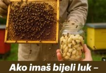 Ako imaš bijeli luk – uradi OVO i PČELE će ti biti potpuno zdrave tokom cijele sezone!