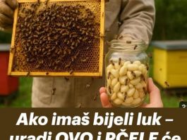 Ako imaš bijeli luk – uradi OVO i PČELE će ti biti potpuno zdrave tokom cijele sezone!