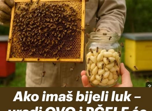 Ako imaš bijeli luk – uradi OVO i PČELE će ti biti potpuno zdrave tokom cijele sezone!