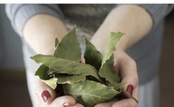 Moja baka uvijek stavlja lovorov list u so. Kada sam saznala zašto je to radila, bila sam iznenađena, jer nikad nisam vidjela ništa slično