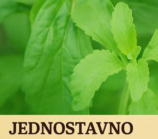 JEDNOSTAVNO OSTAVITE PUŠENJE?! Samo stavite ovu biljku ispod JEZIKA da uništite sve ŽUDNJE!