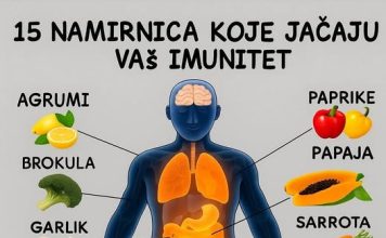 15 MOĆNIH namirnica koje PRIRODNO jačaju vaš IMUNOLOŠKI sistem…