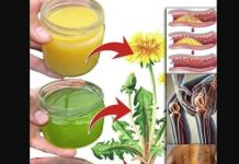 30 nevjerovatnih moći maslačka: Biljka koju svi gaze, a malo tko zna koliko liječi!