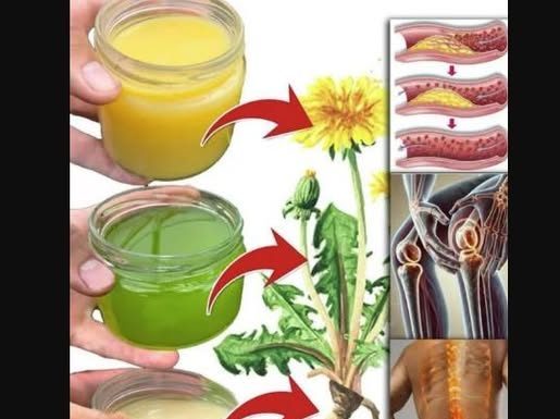 30 nevjerovatnih moći maslačka: Biljka koju svi gaze, a malo tko zna koliko liječi!