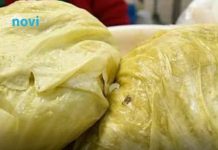 Kako prepoznati da se kiseli kupus pokvario? Jasan znak da je nešto pošlo po zlu