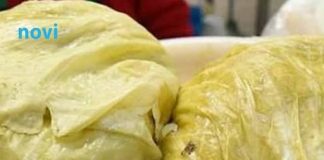 Kako prepoznati da se kiseli kupus pokvario? Jasan znak da je nešto pošlo po zlu