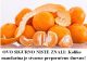 OVO SIGURNO NISTE ZNALI: Koliko mandarina je stvarno preporučeno dnevno!