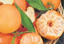 Zašto treba jesti mandarine: Ovo preukusno voće koje ima brojna dobrotvorna svojstva