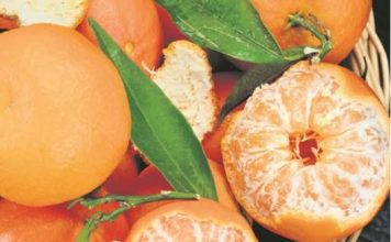 Zašto treba jesti mandarine: Ovo preukusno voće koje ima brojna dobrotvorna svojstva