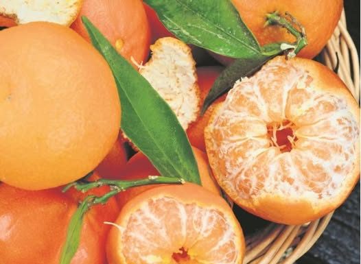 Zašto treba jesti mandarine: Ovo preukusno voće koje ima brojna dobrotvorna svojstva