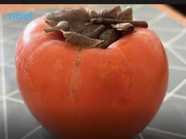 5 stvari koje trebate znati o japanskim jabukama