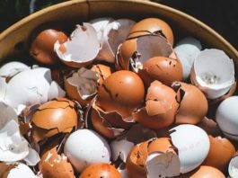 Lekari otkrivaju: prokuvajte ljuske od jaja i recite zbogom