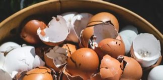 Lekari otkrivaju: prokuvajte ljuske od jaja i recite zbogom