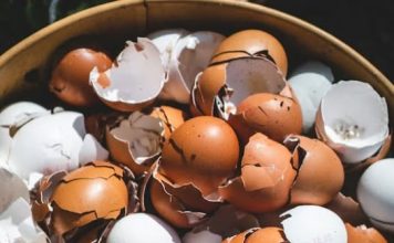 Lekari otkrivaju: prokuvajte ljuske od jaja i recite zbogom