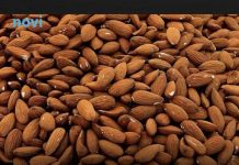 Na cijelom svijetu najzdravije su 3 grickalice: Jedite ih bez griže savjesti a i koliko god hoćete