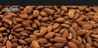 Na cijelom svijetu najzdravije su 3 grickalice: Jedite ih bez griže savjesti a i koliko god hoćete