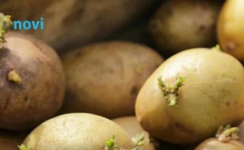 Kako spriječiti krompire da ne prokliju? Isprobajte fantastični trik naših baka!