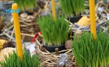 Donosi blagostanje u vaš dom: Evo kada je najbolje posijati božićnu pšenicu