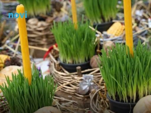 Donosi blagostanje u vaš dom: Evo kada je najbolje posijati božićnu pšenicu