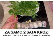 ZA SAMO 2 SATA KROZ STOLICU I URIN IZBACITE SVE STO SMETA ZDRAVOM ORGANIZMU! Univerzalni LEK!