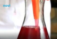 Ovaj sok vas “vraća u život”: Za 2 minuta će oporaviti cijeli organizam