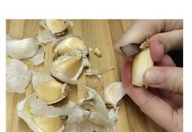 AKO NAVALITE NA SLANINU I BELI LUK, OVO ĆE SE DESITI SA VAŠIM ZDRAVLJEM: Doktor upozorio ni NAJISKUSNIJI nisu znali