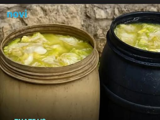 Zašto se glavice kupusa ne kisele nakon što ih stavite u bure? Ovo je razlog