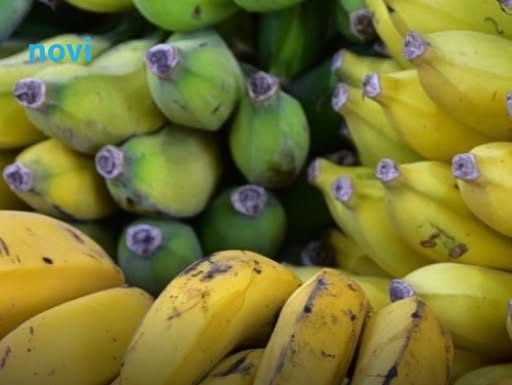 Zelena, žuta ili smeđa? Evo koja banana krije najveću moć za vaše zdravlje