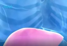 Hepatolog tvrdi da jedno voće obnavlja jetru za 7 dana, a sve zbog ovog enzima