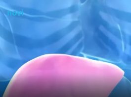 Hepatolog tvrdi da jedno voće obnavlja jetru za 7 dana, a sve zbog ovog enzima