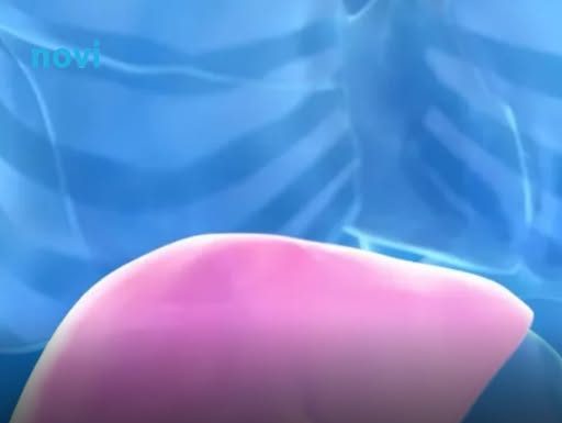 Hepatolog tvrdi da jedno voće obnavlja jetru za 7 dana, a sve zbog ovog enzima