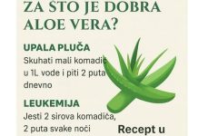ZA ŠT0 JE DOBRA ALOE VERA?